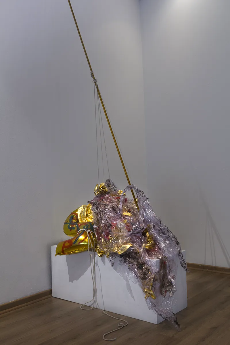 ekeko_exuvia_jonjacobsen_2016