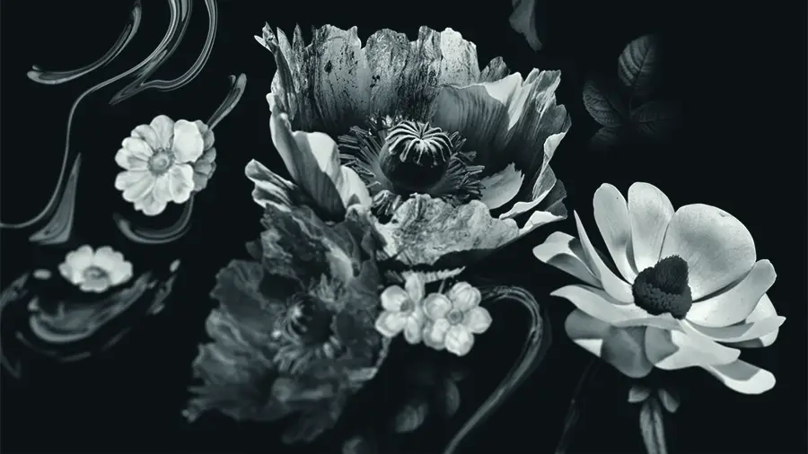 Lisa Eldridge | Fantasy Floral Campaign