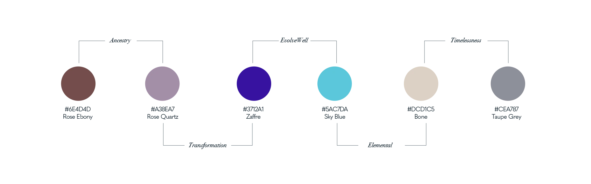 color palette evolvewell web_