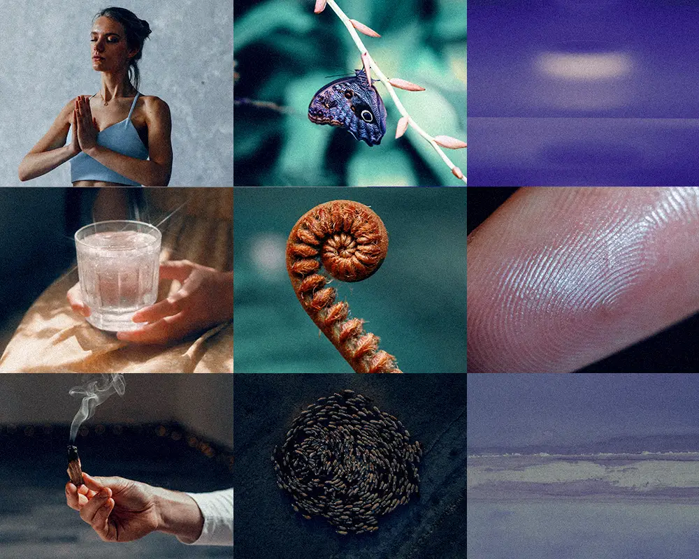 evolve well image pool