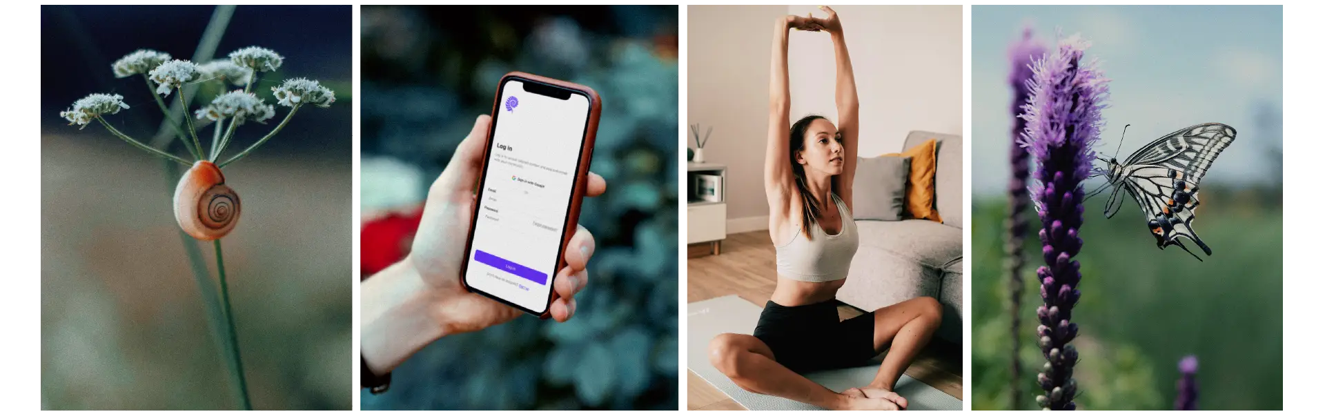 evolvewell brand aesthetics 03 web