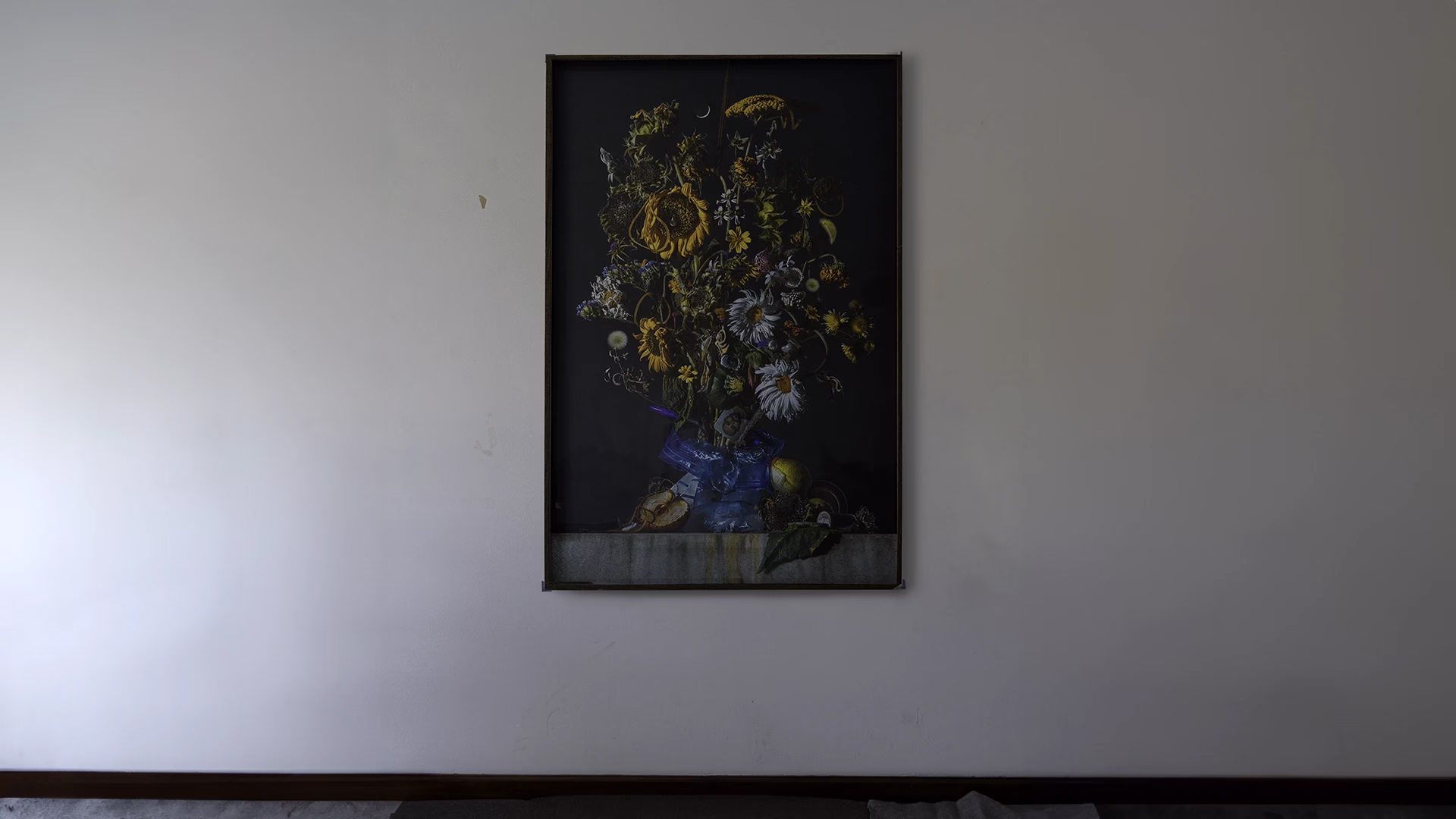 Domesticated_framed